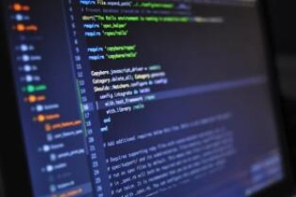 脚手架开发web只有json怎么执行