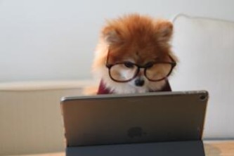 javascript入 JAVAscript入门经典pdf